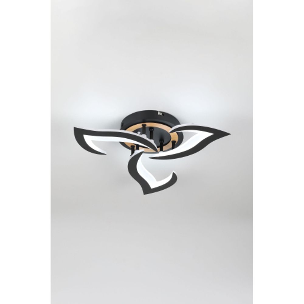 Светильник потолочный светодиодный Rivoli Cassandra 6194-703 LED 3000-6250К 42 Вт с пультом | Интерьерные светодиодные светильники