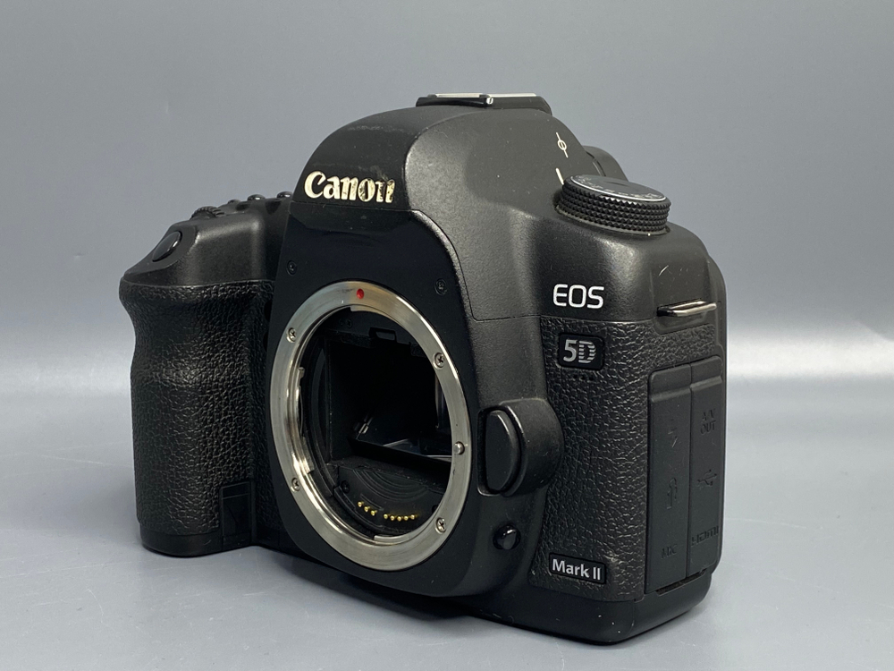 Canon EOS 5D Mark II — 62 000 кадров