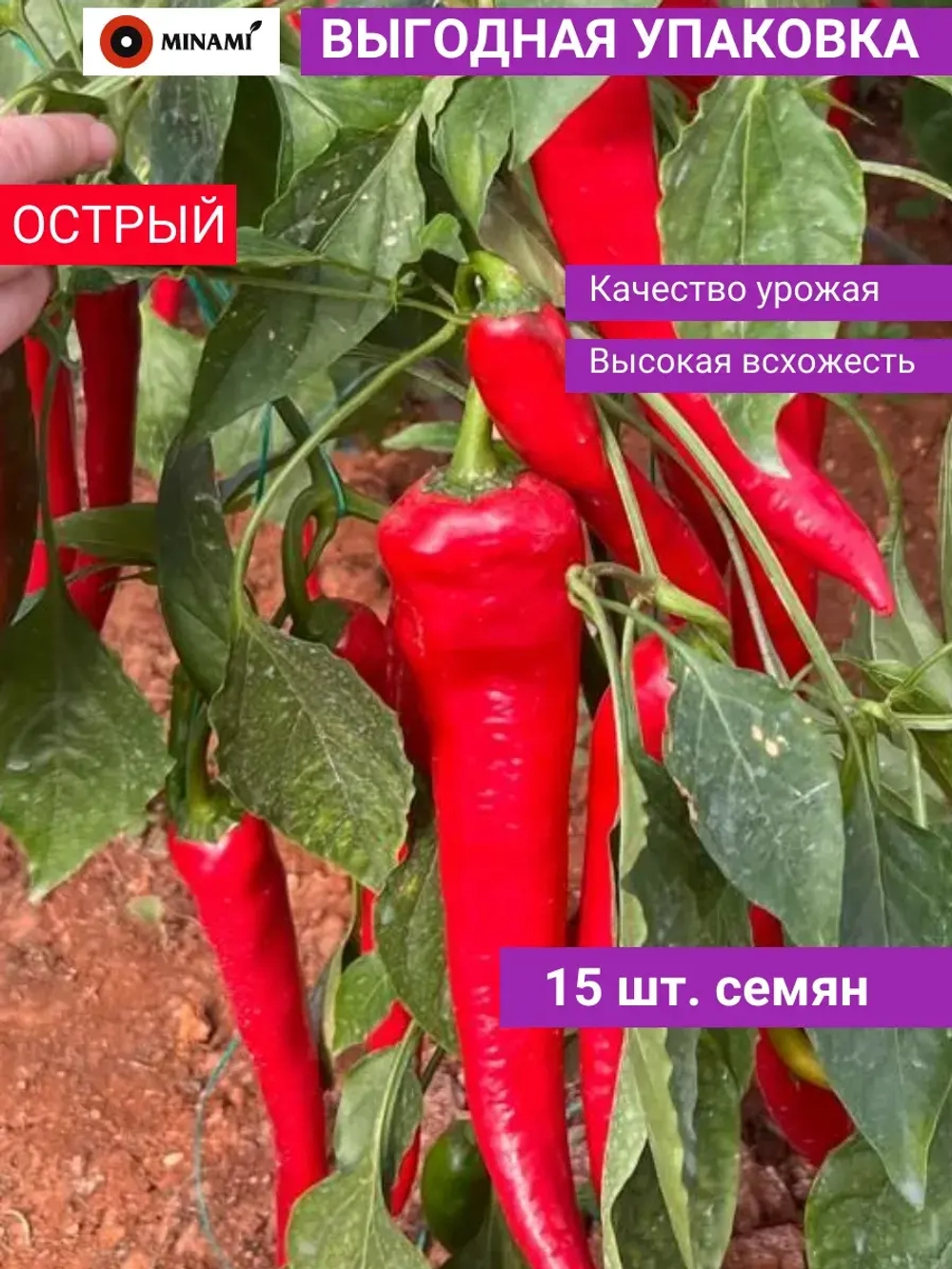 Перец острый Михас F1 (15шт.)