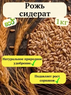 Сидерат Рожь 1 кг