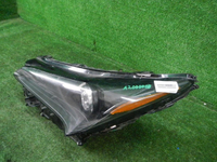 DSCN7903.JPG