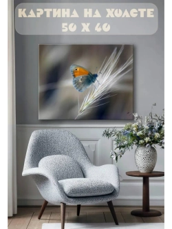 Картина на стену 40 X 50 Бабочка