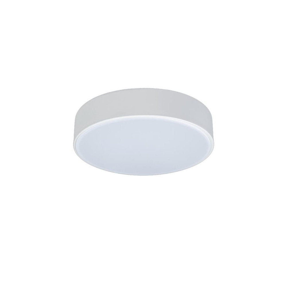 Потолочный светодиодный светильник Loft It Axel 10002/12 White