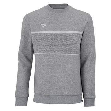 Кофта для мальчика теннисная Tecnifibre Team Junior - silver