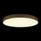 Потолочный светильник Flims 10228/B Loft It