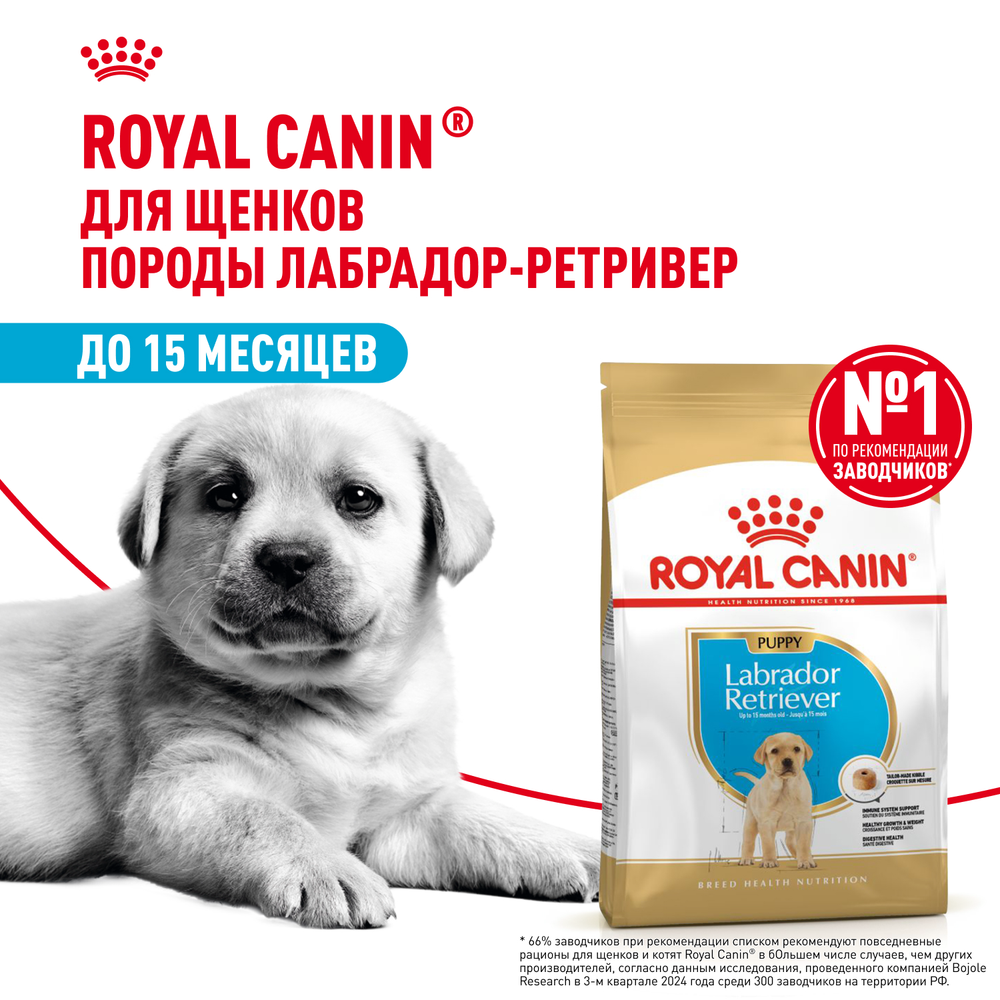 Royal Canin Labrador Retriever Puppy Лабрадор Ретривер Паппи Корм сухой для щенков породы Лабрадор Ретривер до 15 месяцев 3кг