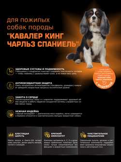 Корм сухой для пожилых собак породы Кавалер кинг Чарльз спаниель старше 7 лет, с индейкой, 12 кг, QUATTRO