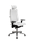 Y 4DF B2-17D - Infinity /Kc09/Nc09/D15P/H13mL-3D(M26.B35.G25.W04)