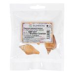 Ракушки декоративные, 3 шт, 6.3 см, Strombus Canarium, Zlatka DRF-017