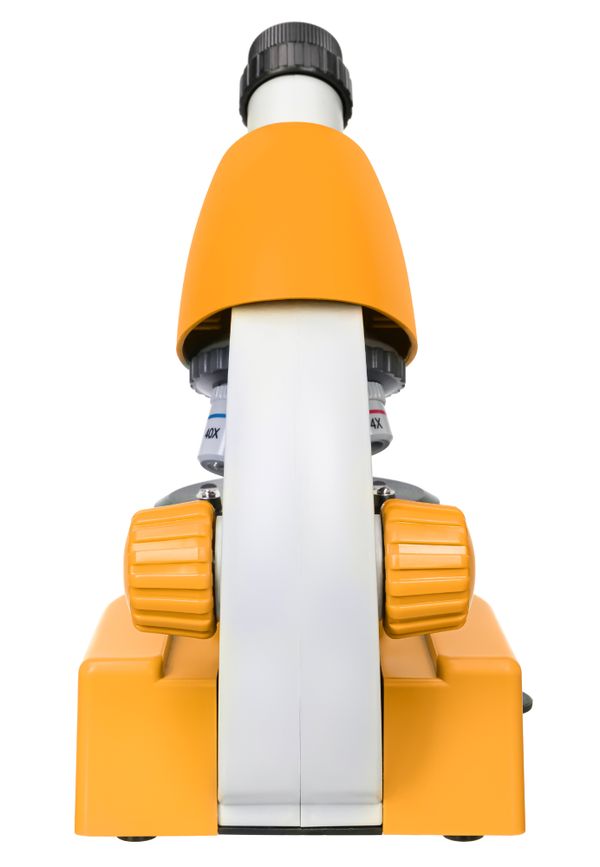 Микроскоп Levenhuk Discovery Micro с книгой, 77954