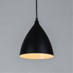 Подвесной светильник Arte Lamp LARK A7075SP-1BK