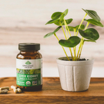 Organic India, печень и почки, 90 растительных капсул