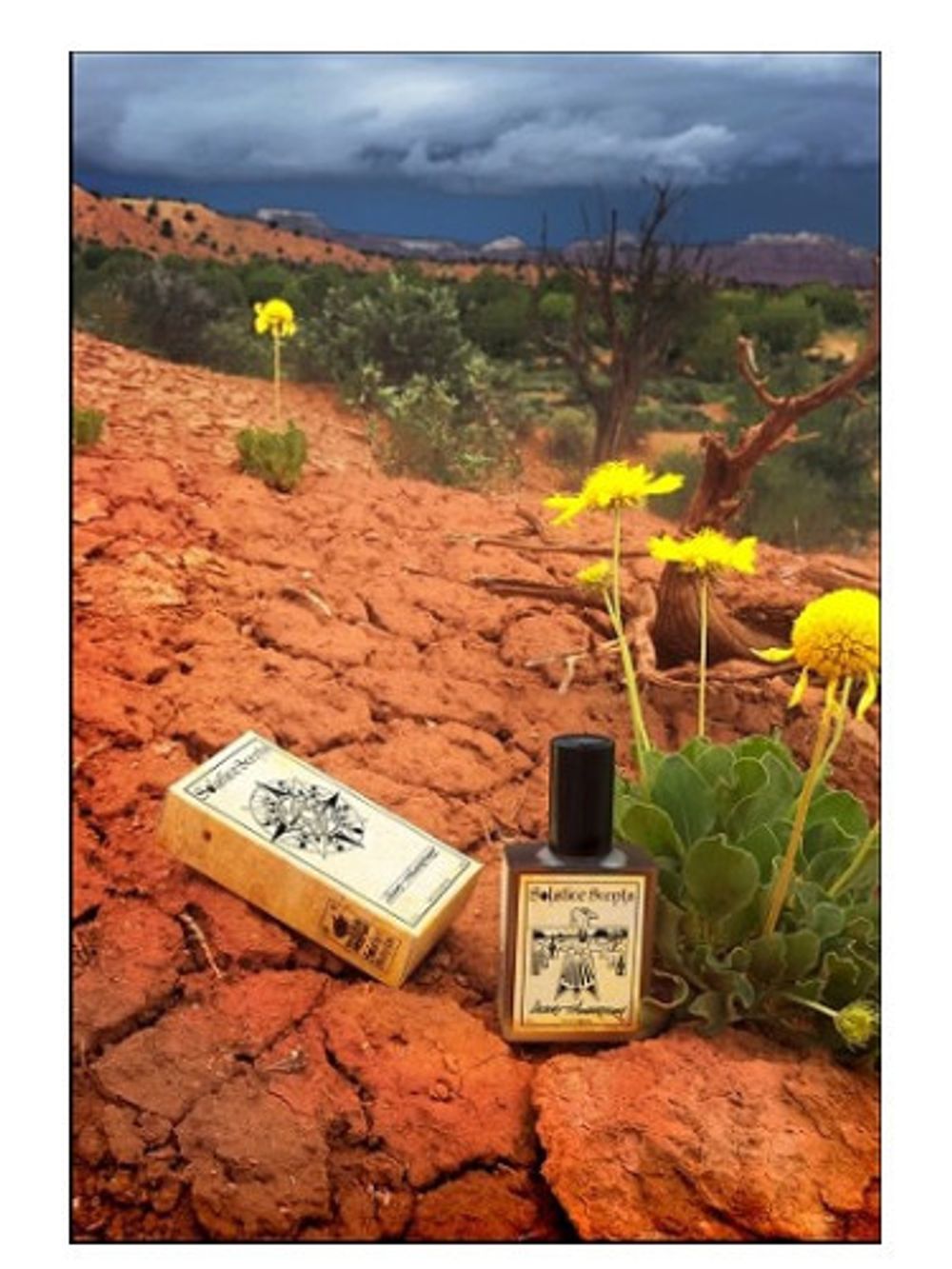 Solstice Scents Desert Thunderstorm