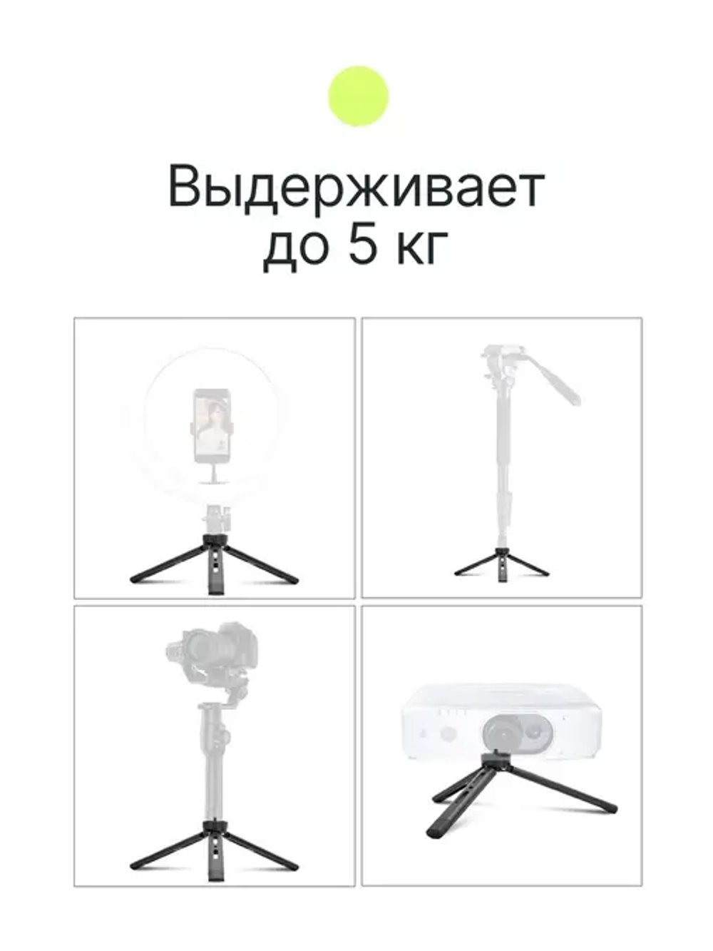 Штатив компактный RayLab MT-TM