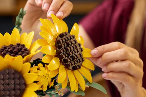 Конструктор LEGO The Botanical Collection 11502 Sunflower Bouquet
