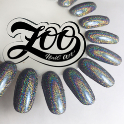 Zoo Nail Голографическая втирка "Серебряная вспышка" 1078