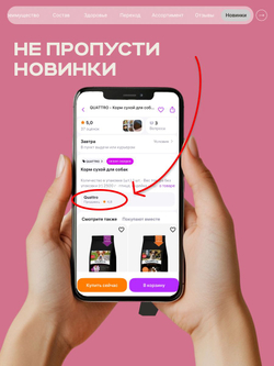 Корм сухой для взрослых собак породы Йоркширский терьер, с индейкой, 800 гр, QUATTRO