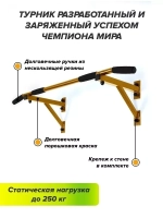 Турник Настенный AKTIV Черный
