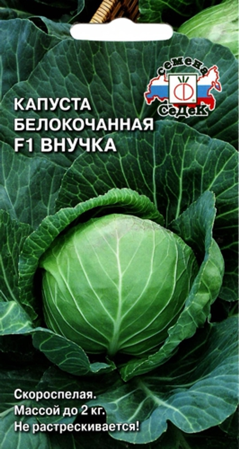 вампиртоьлб