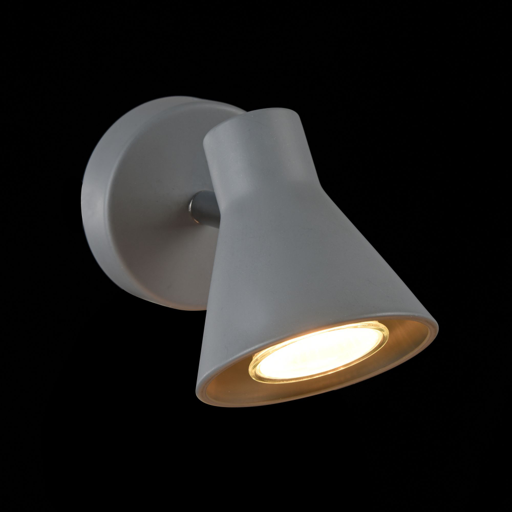Спот Freya FR4308-WL-01-GR