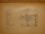 "Практические основы кулинарного искусства". 1927г.