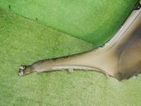 DSCN5721.jpg