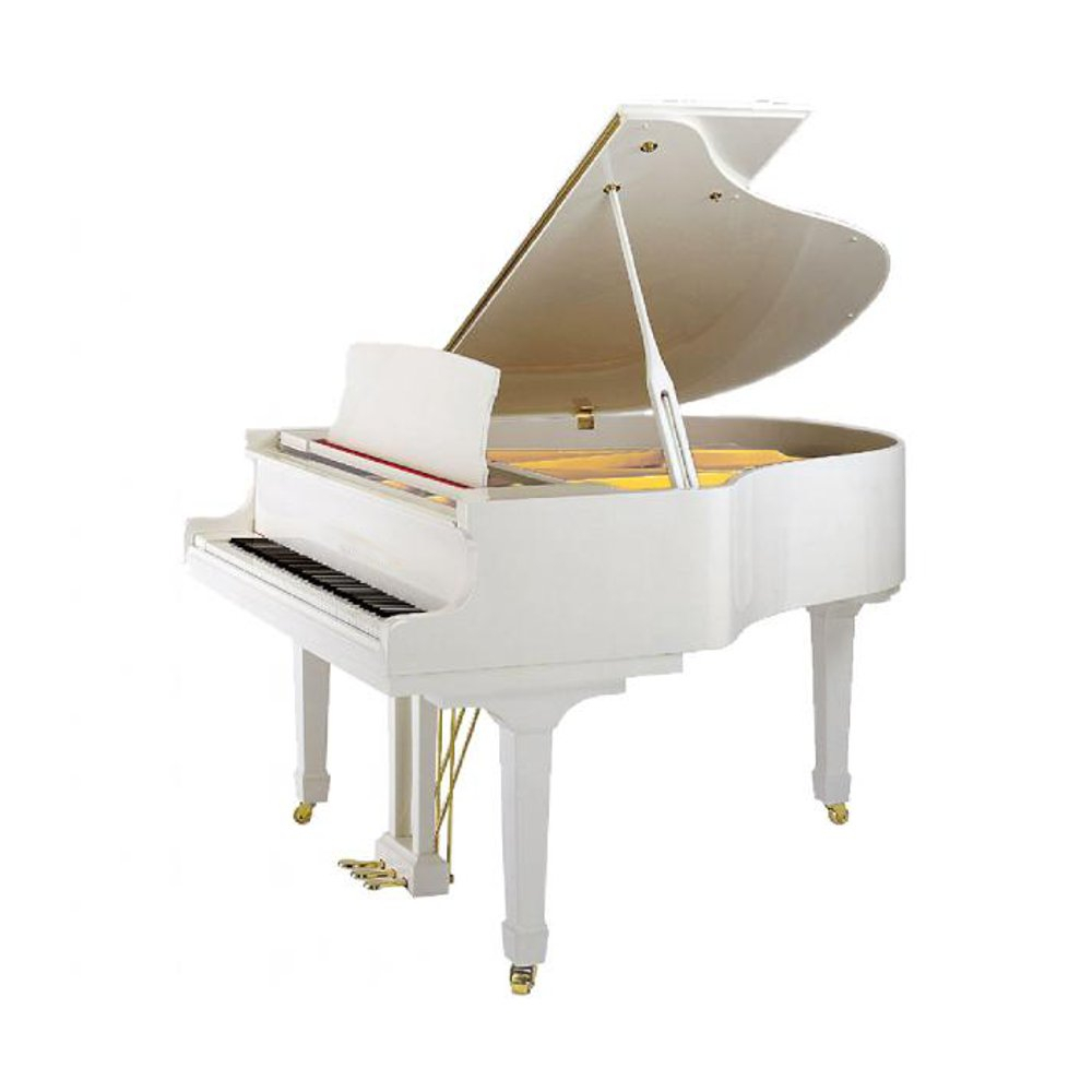 Weber Professional Grand W157