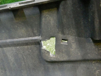 DSCN4142.jpg