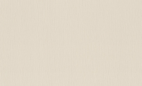Rasch 1.06m*10m 981421 Unitex