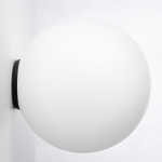 Накладной светильник Citilux RON CL941D25B5