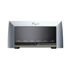 Cayin M-845D