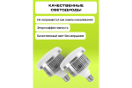 Осветитель Raylab D-Light светодиодный с октобоксом 60см