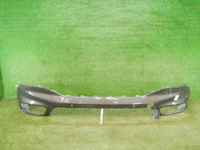 DSCN6304.jpg