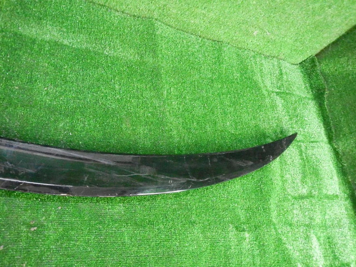 DSCN2993.JPG