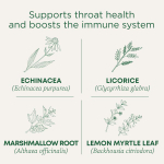 Traditional Medicinals, Organic Throat Cover®, лимон и эхинацея, без кофеина, 16 чайных пакетиков, 32 г (1,13 унции)