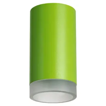Точечный накладной светильник 1*GU10 R43430 зелёный/матовый Rullo Lightstar