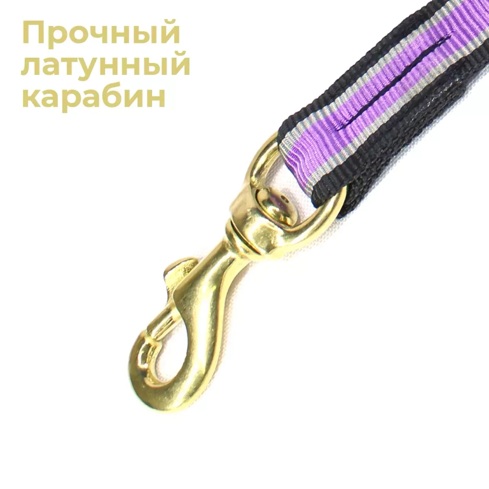 Шейник для упряжки собак