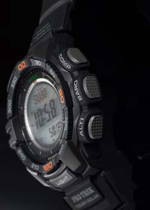 Часы Casio PRG-270-1E