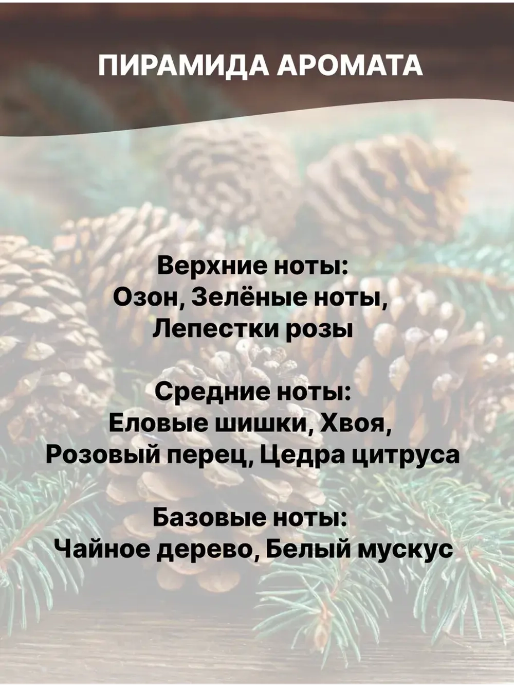 Отдушка Еловые шишки и хвоя 50 гр