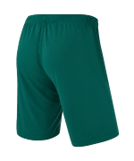Шорты игровые CAMP Classic Shorts, темно-зеленый