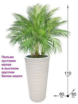 Искусственная Пальма кустовая 110см в высоком круглом белом кашпо