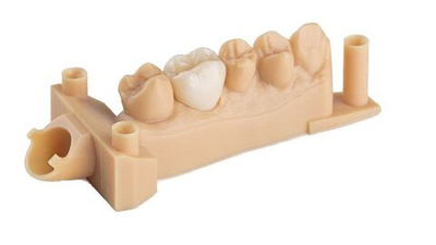 Formlabs Dental Model