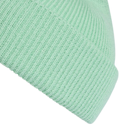 Зимняя шапка Adidas Terrex Multi Beanie - pulse mint