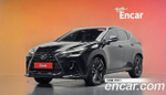 Lexus NX350h — 2024