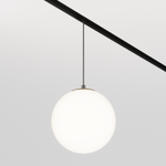 Магнитный трековый светильник Maytoni Luna TR039-4-5WTW-DD-B
