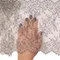 Кружево реснички экрю/черный (21*300 см)