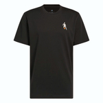 Баскетбольная мужская футболка adidas Hoops for All Graphic