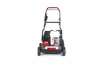 Бензиновый скарификатор EVOline SCG 40 CPH (с двигателем Honda)