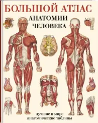 Большой атлас анатомии человека