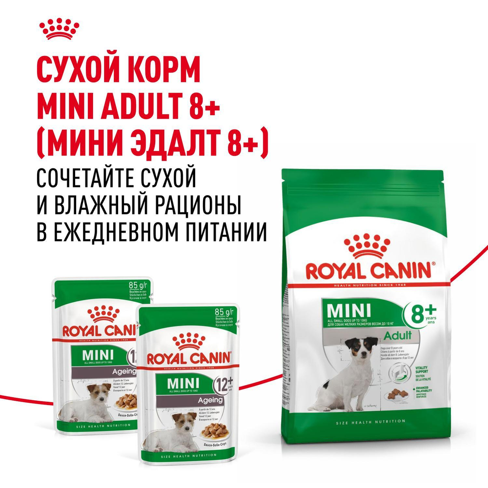 Royal Canin Mini Ageing 12+ Мини Эйджинг Корм влажный для стареющих собак мелких пород соус 85г